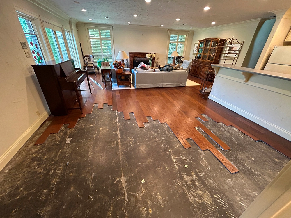 Gallery_05